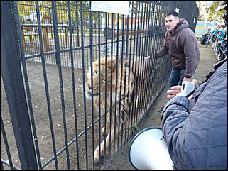 5 октябрь 2013 г., Барнаул   Открытие именной звезды ИА "Амител" в Барнаульском зоопарке