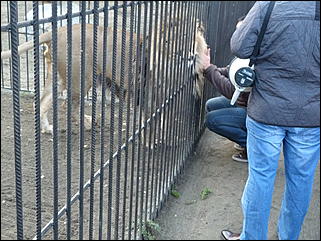 5 октябрь 2013 г., Барнаул   Открытие именной звезды ИА "Амител" в Барнаульском зоопарке