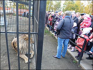5 октябрь 2013 г., Барнаул   Открытие именной звезды ИА "Амител" в Барнаульском зоопарке