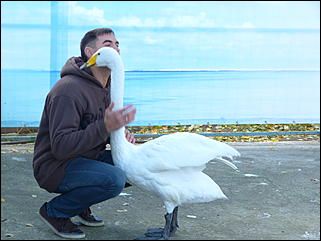 5 октябрь 2013 г., Барнаул   Открытие именной звезды ИА "Амител" в Барнаульском зоопарке