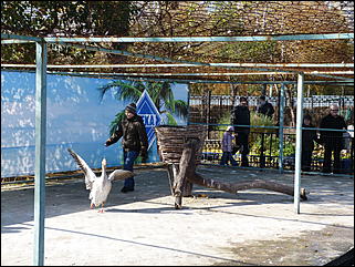 5 октябрь 2013 г., Барнаул   Открытие именной звезды ИА "Амител" в Барнаульском зоопарке