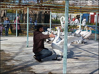 5 октябрь 2013 г., Барнаул   Открытие именной звезды ИА "Амител" в Барнаульском зоопарке