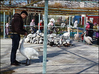 5 октябрь 2013 г., Барнаул   Открытие именной звезды ИА "Амител" в Барнаульском зоопарке