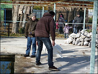 5 октябрь 2013 г., Барнаул   Открытие именной звезды ИА "Амител" в Барнаульском зоопарке