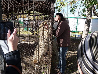 5 октябрь 2013 г., Барнаул   Открытие именной звезды ИА "Амител" в Барнаульском зоопарке