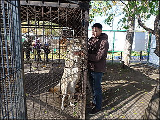 5 октябрь 2013 г., Барнаул   Открытие именной звезды ИА "Амител" в Барнаульском зоопарке