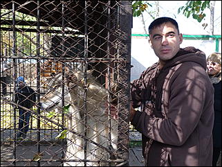 5 октябрь 2013 г., Барнаул   Открытие именной звезды ИА "Амител" в Барнаульском зоопарке