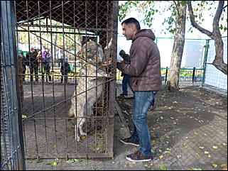 5 октябрь 2013 г., Барнаул   Открытие именной звезды ИА "Амител" в Барнаульском зоопарке