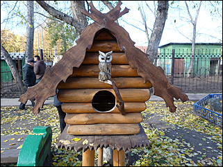 5 октябрь 2013 г., Барнаул   Открытие именной звезды ИА "Амител" в Барнаульском зоопарке