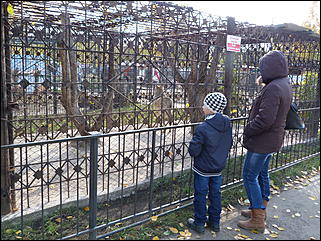 5 октябрь 2013 г., Барнаул   Открытие именной звезды ИА "Амител" в Барнаульском зоопарке