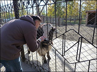 5 октябрь 2013 г., Барнаул   Открытие именной звезды ИА "Амител" в Барнаульском зоопарке