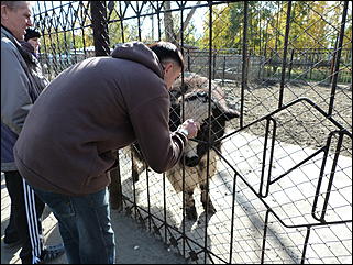 5 октябрь 2013 г., Барнаул   Открытие именной звезды ИА "Амител" в Барнаульском зоопарке