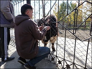 5 октябрь 2013 г., Барнаул   Открытие именной звезды ИА "Амител" в Барнаульском зоопарке