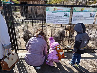 5 октябрь 2013 г., Барнаул   Открытие именной звезды ИА "Амител" в Барнаульском зоопарке