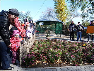 5 октябрь 2013 г., Барнаул   Открытие именной звезды ИА "Амител" в Барнаульском зоопарке