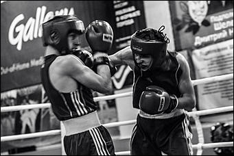 15 декабрь 2016 г., Барнаул © Амител Вячеслав Мельников   Всероссийский фестиваль  бокса памяти сотрудников УФСБ погибших при исполнении служебного долга. Фоторепортаж