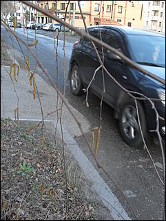 18 апрель 2012 г., Барнаул   Барнаул меняет «гардероб» 