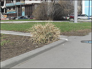 18 апрель 2012 г., Барнаул   Барнаул меняет «гардероб» 