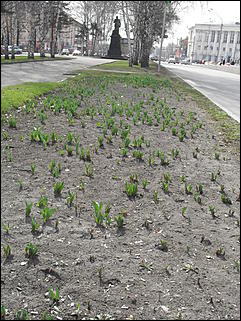 18 апрель 2012 г., Барнаул   Барнаул меняет «гардероб» 