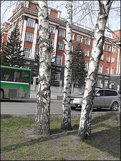 18 апрель 2012 г., Барнаул   Барнаул меняет «гардероб» 