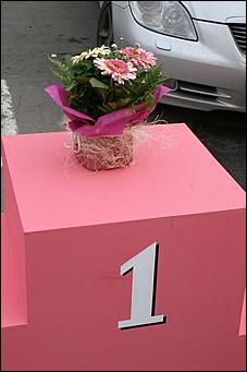 19 июня 2008 г., Барнаул   В Барнауле впервые состоялся забег на "шпильках"