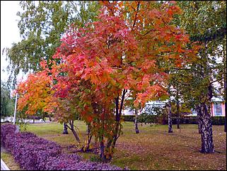 1 октябрь 2015 г., Барнаул   Осенний Барнаул