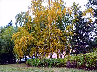 1 октябрь 2015 г., Барнаул   Осенний Барнаул