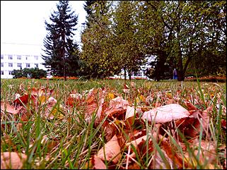 1 октябрь 2015 г., Барнаул   Осенний Барнаул