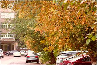 1 октябрь 2015 г., Барнаул   Осенний Барнаул