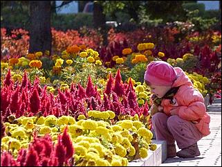 1 октябрь 2015 г., Барнаул   Осенний Барнаул