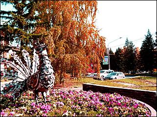 1 октябрь 2015 г., Барнаул   Осенний Барнаул