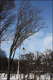 3 января 2009г., Киев, Украина   Мемориальный комплекс памяти жертв Голодомора в Киеве 