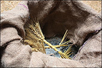 3 января 2009г., Киев, Украина   Мемориальный комплекс памяти жертв Голодомора в Киеве 