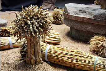 3 января 2009г., Киев, Украина   Мемориальный комплекс памяти жертв Голодомора в Киеве 