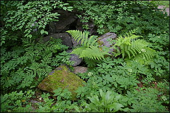 12-14 июня, Горный Алтай   День России в Горном Алтае
