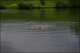 12-14 июня, Горный Алтай   День России в Горном Алтае