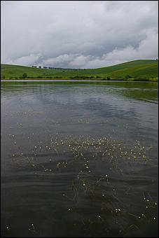 12-14 июня, Горный Алтай   День России в Горном Алтае