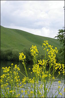 12-14 июня, Горный Алтай   День России в Горном Алтае
