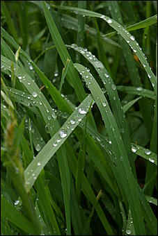 12-14 июня, Горный Алтай   День России в Горном Алтае