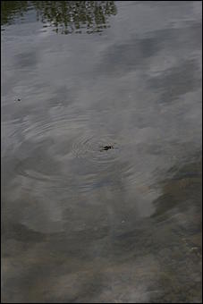 12-14 июня, Горный Алтай   День России в Горном Алтае