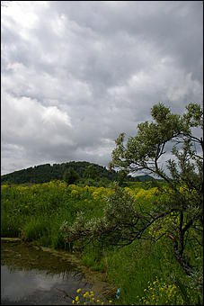 12-14 июня, Горный Алтай   День России в Горном Алтае