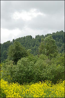 12-14 июня, Горный Алтай   День России в Горном Алтае