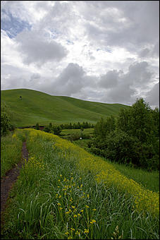12-14 июня, Горный Алтай   День России в Горном Алтае