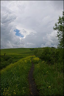12-14 июня, Горный Алтай   День России в Горном Алтае