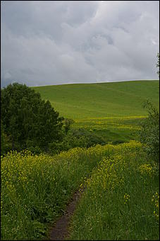 12-14 июня, Горный Алтай   День России в Горном Алтае