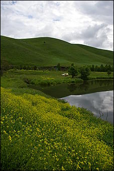 12-14 июня, Горный Алтай   День России в Горном Алтае
