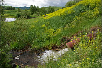 12-14 июня, Горный Алтай   День России в Горном Алтае