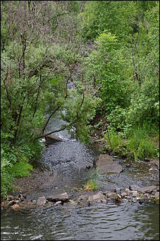 12-14 июня, Горный Алтай   День России в Горном Алтае
