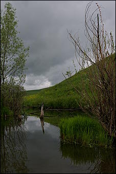 12-14 июня, Горный Алтай   День России в Горном Алтае