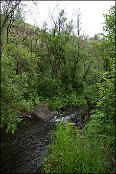 12-14 июня, Горный Алтай   День России в Горном Алтае